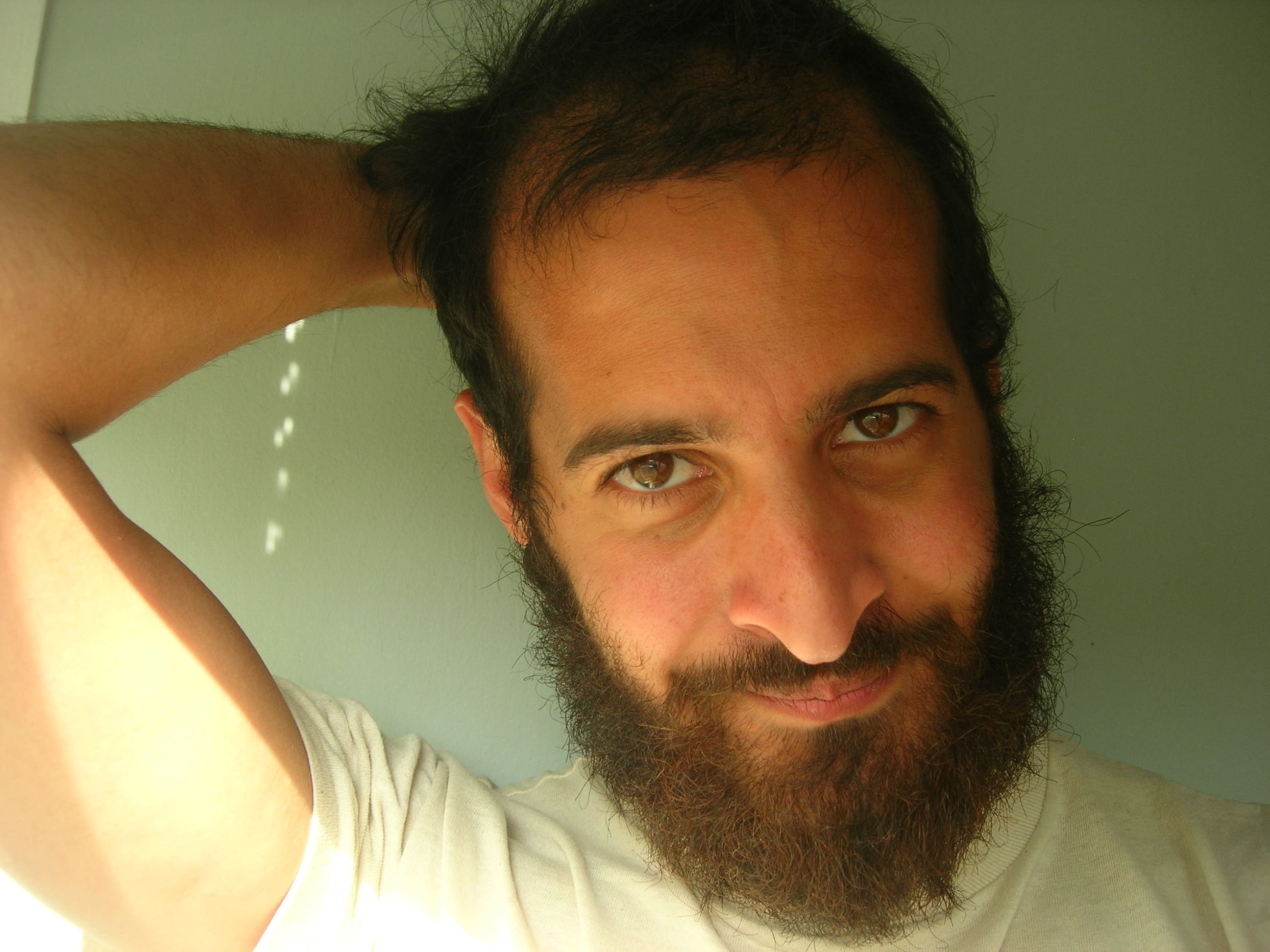 Anis Mojgani 사진